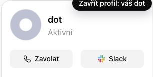 Profil DOTu v ChatGPT s avatarem, stavem Aktivní a tlačítkem Zavolat.